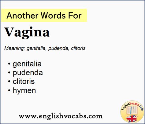 What is another word for vagina